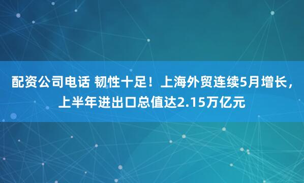 配资公司电话 韧性十足！上海外贸连续5月增长，上半年进出口总值达2.15万亿元